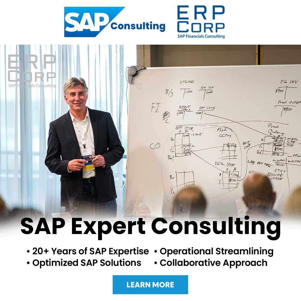 Expert SAP Consulting 2024