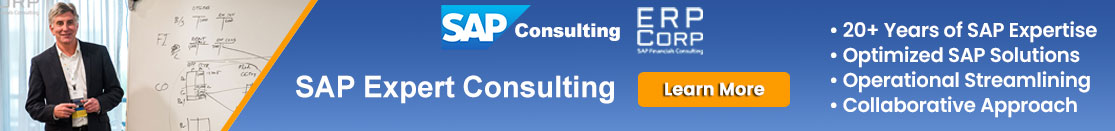 Expert SAP Consulting